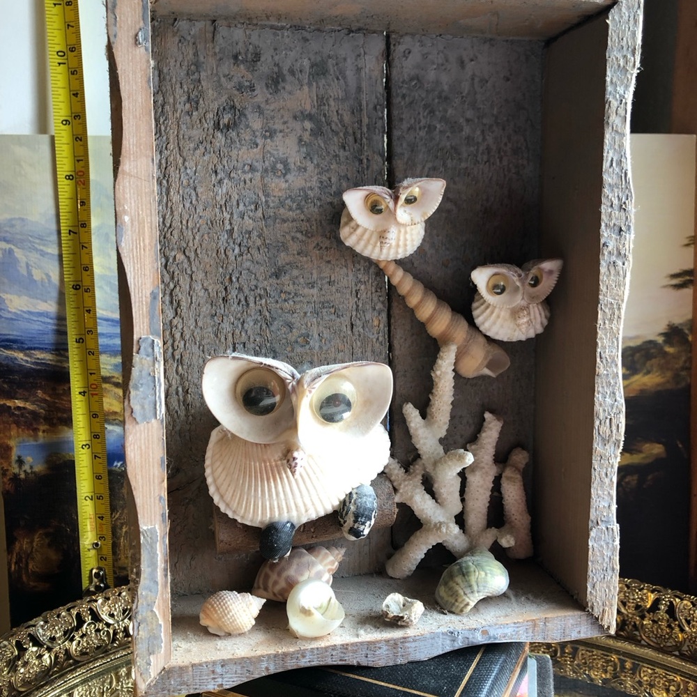 🦉VINTAGE Unique Shell Owl Decor🦉